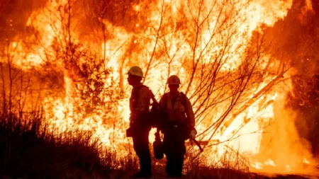 Los Angeles wildfires, Pasadena fire damage, Altadena fire destruction, community resilience after fire, Pasadena Altadena fire recovery, wildfire devastation